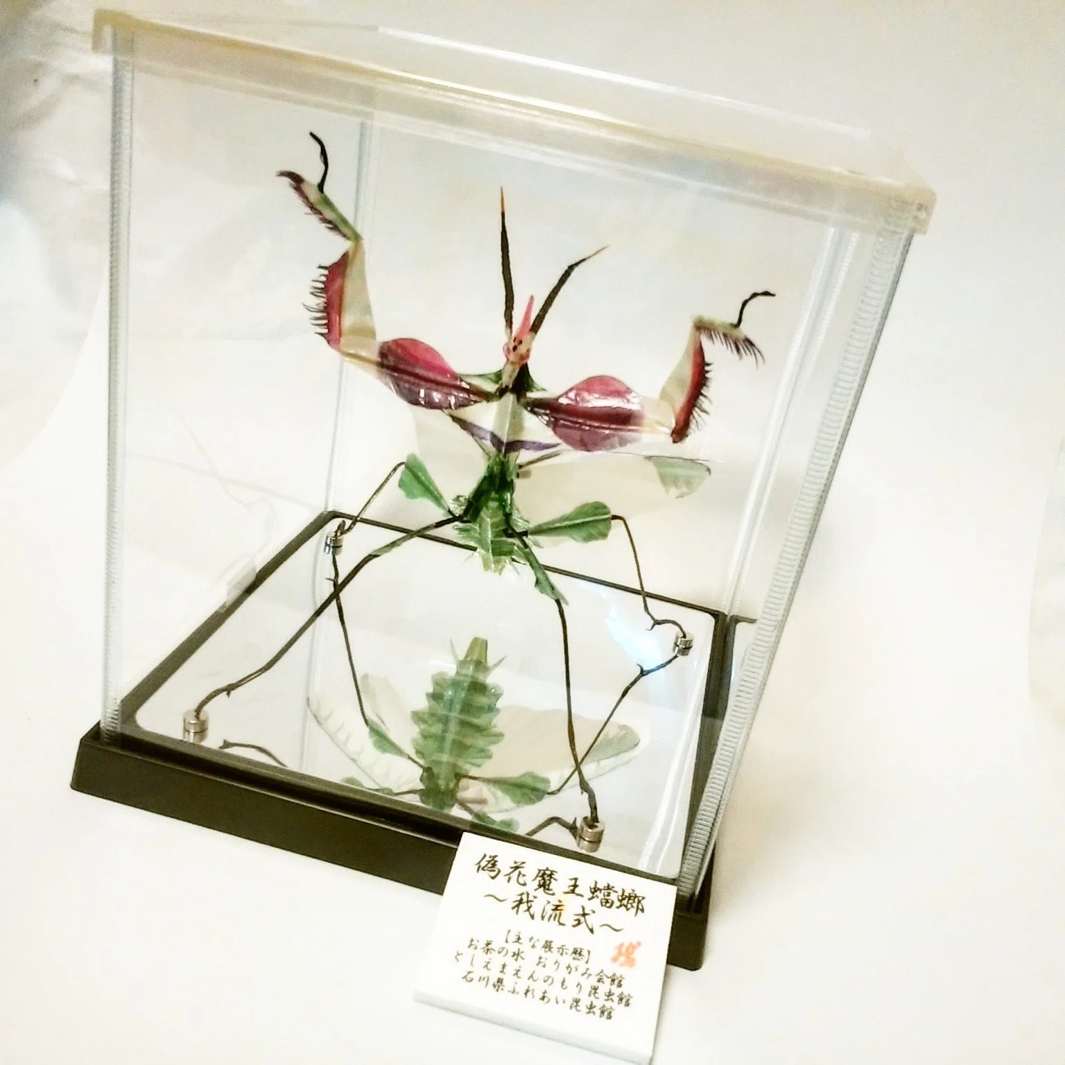 絵画ハンドメイド 日本画「ハナカマキリ」 【公式通販】