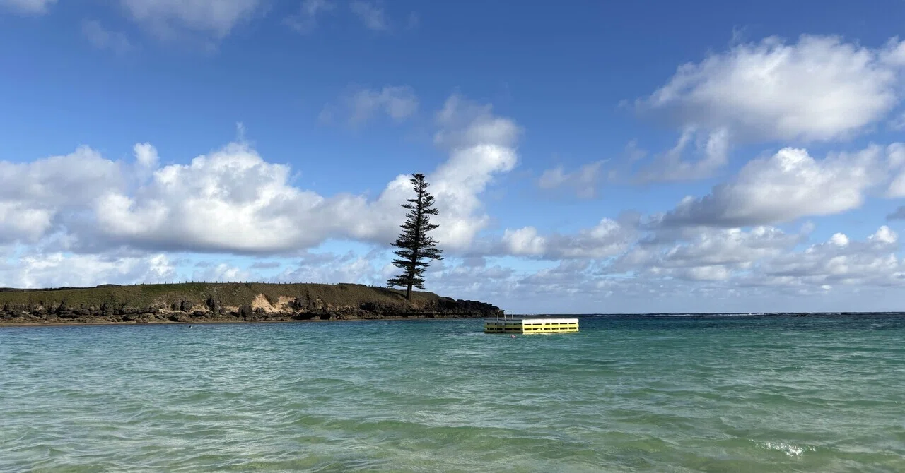 【リトグラフ】アーネスト・R・ノーリング　流木のある太平洋岸北西部の海岸のカモメ オーストラリア】現地出身の友人と巡るノーフォーク島4泊5日｜人生の夏休み