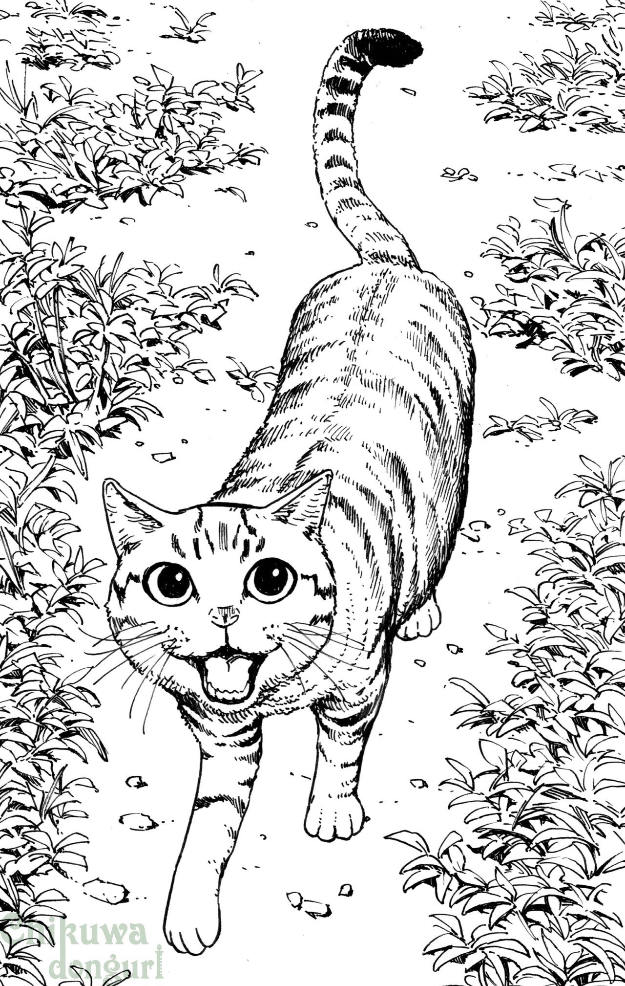 土曜絵画 おいお前 ちょっとジャンプしてみろにゃー キクラゲ校長 ちくわ どんぐり Note