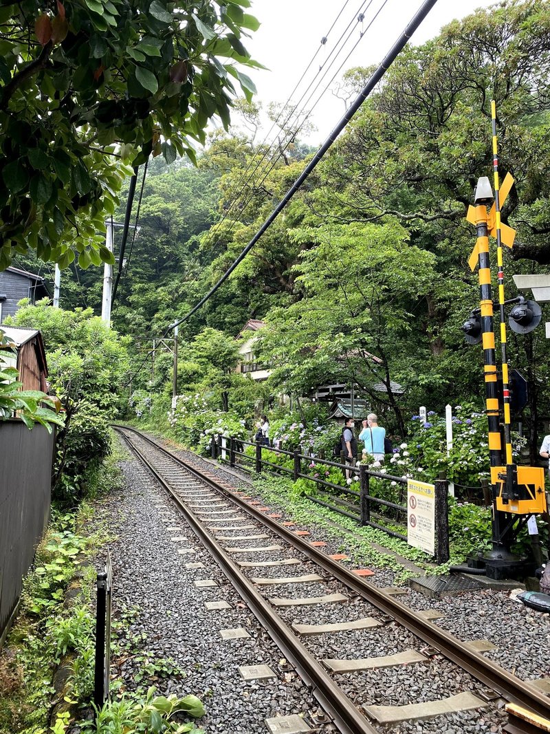マンガ 海街diary 聖地巡礼 第一弾 御霊神社 長谷寺 Shiro Note マンガ 海街diary 聖地巡礼 第一弾 御霊神社 長谷寺 Shiro Note