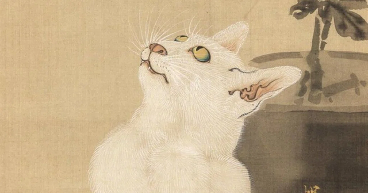 河鍋暁斎の世界」展出品作⑨暁斎《蝶と菊に猫》明治4-22年（1871-89年