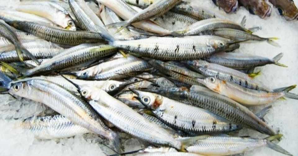 私が下ネタを好きになった理由 ぽたろう Note