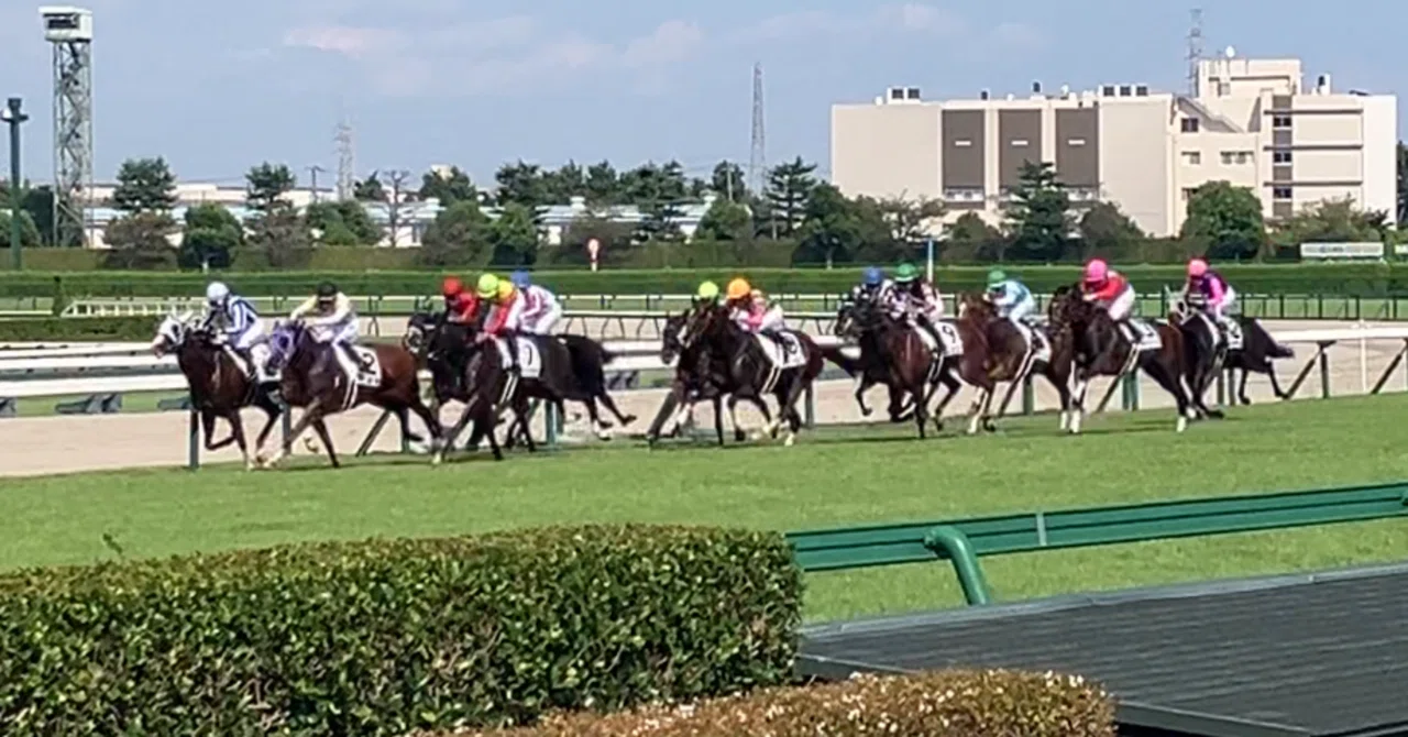 高配期待の穴馬 スレイプニルステークス STV杯｜2026｜6月20日