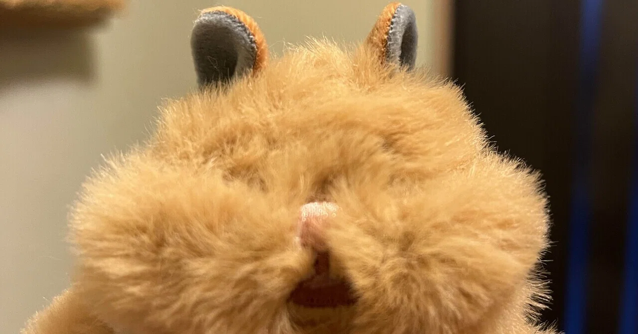 はむにぎりをお迎えしました。｜うさぎ係の中の人