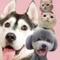 犬と猫の親バカ日記