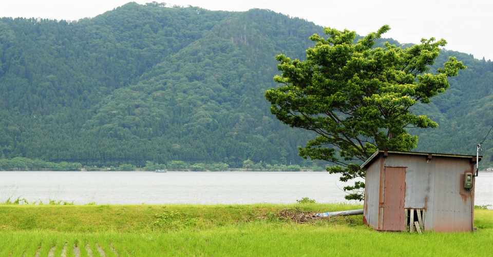 好きな人 恋愛感情 に違和感がある話 デミセクシュアル 稜葵 Note