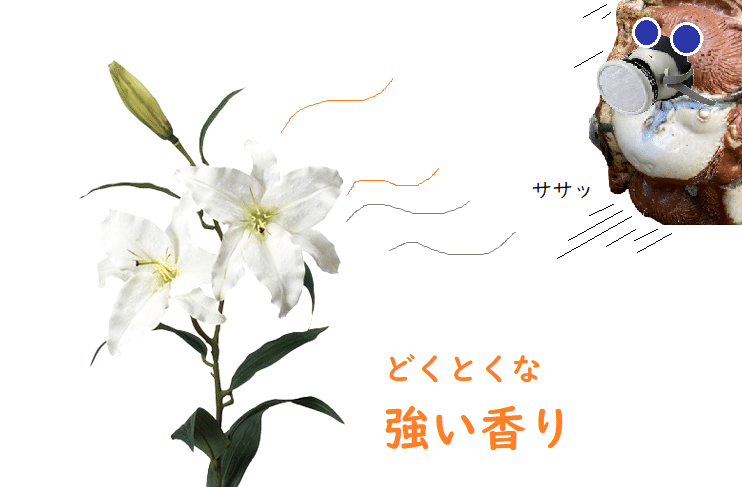 画像38