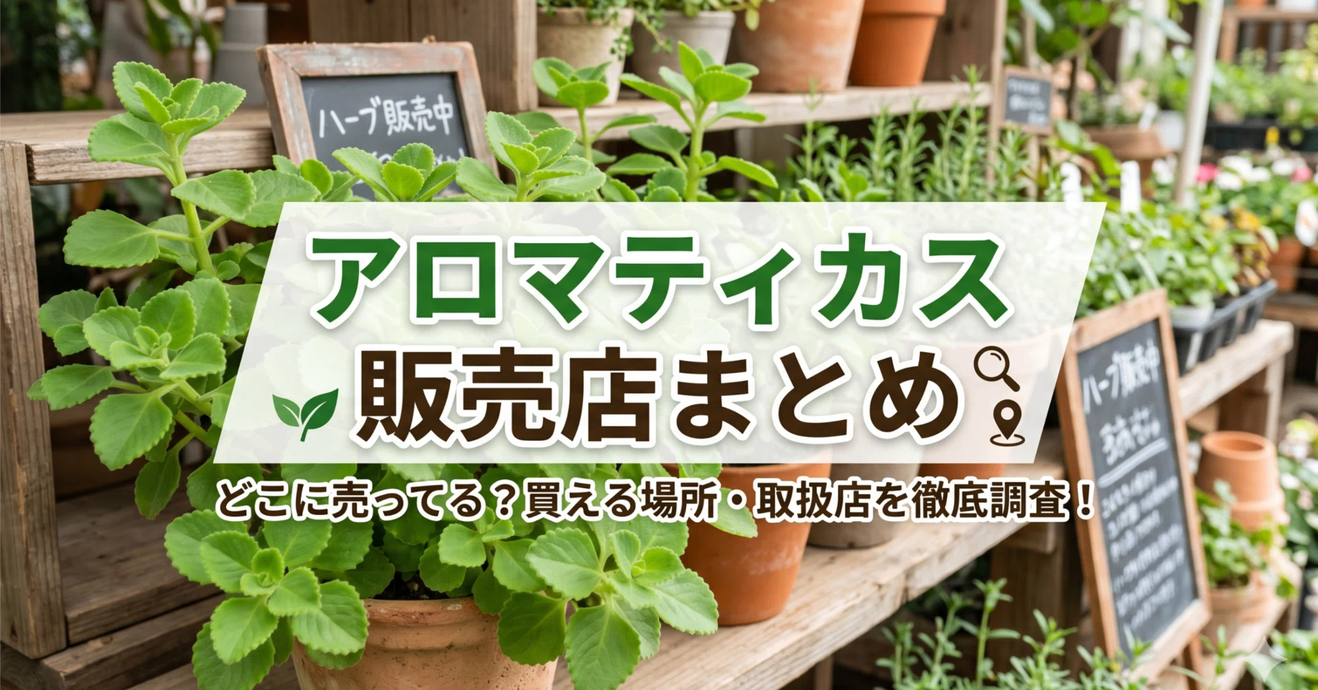 アロマ ティカ ス 100 均