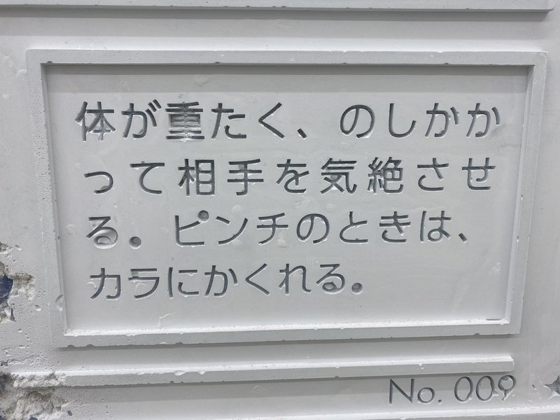 ポケモン アーシャム展に行って 考える ぱりかん 吉住大輔 Note