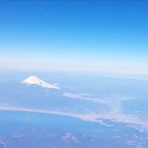 らぴ。