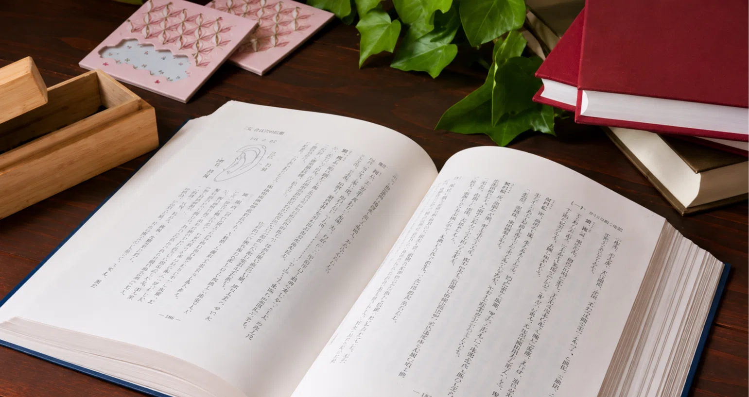 中国針灸穴位通鑑』読書ノートの月別一覧｜あやかざり｜note