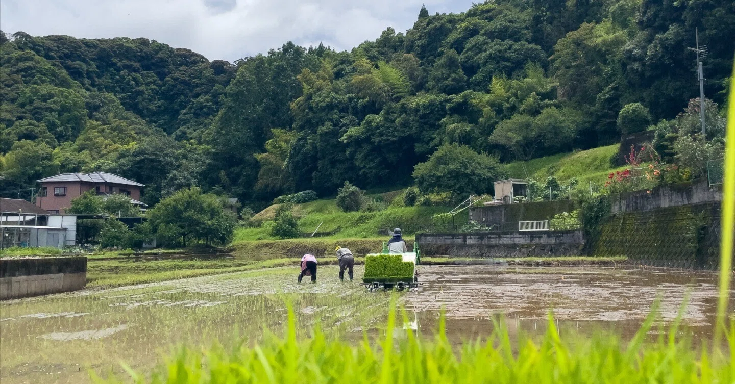 田植え機がインドでバズった。AIと二人三脚で挑んだ『180万再生』の