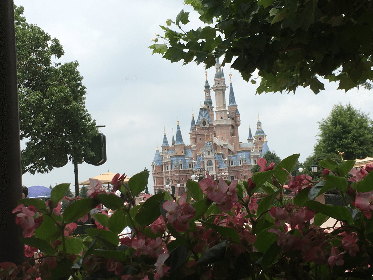 コロナ後の上海ディズニーランドに行ってみた おかもとよしこ 上海 Itとbar経営 Note