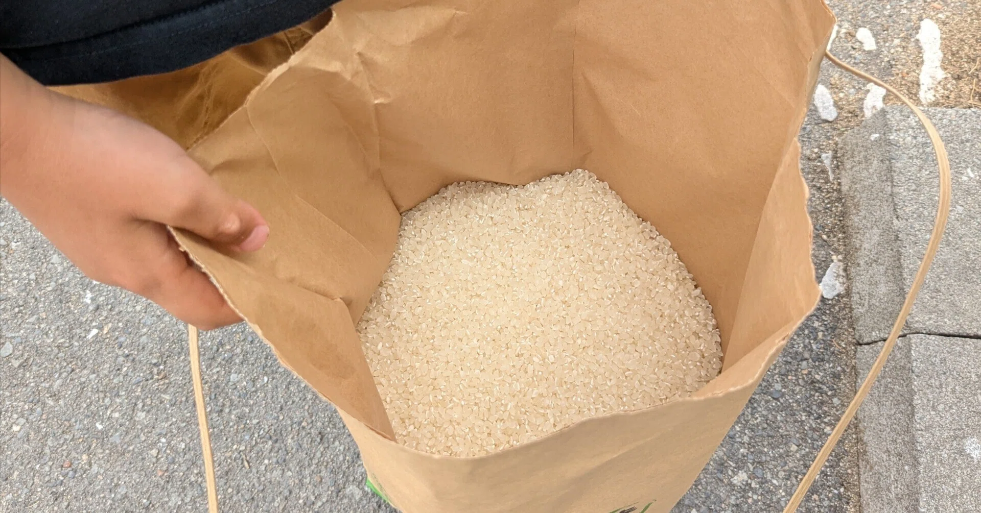 30kg 玄米を上白に精米 食品 玄米30kgを上白に精米