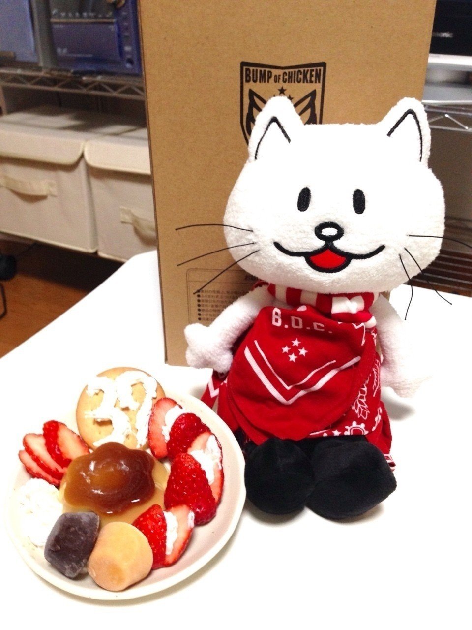 ニコルと過ごした初めての1週間 やまねん Note ニコルと過ごした初めての1週間 やまねん Note