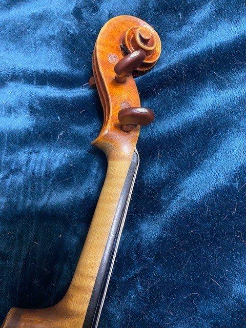バイオリンの裏板 その木、何の木？｜Violinist & Fiddler 依田彩