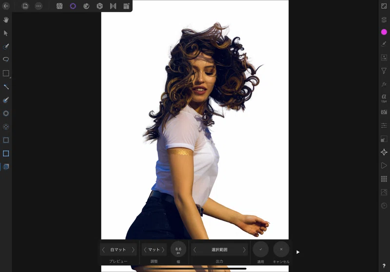 Ipad版affinity Photo ペイントブラシで切り抜きをしよう 動画あり Miyuki Note