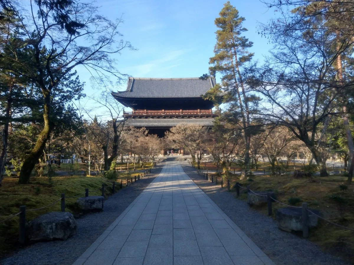 画像8