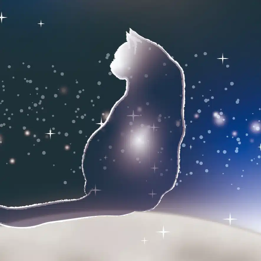Tamaそらイメージ