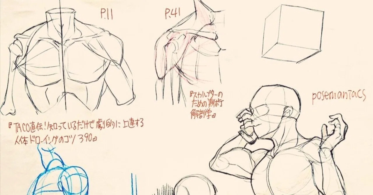 クロッキー、模写】2026.6.20｜Nico（にこ）