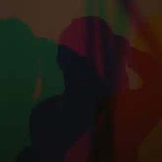 虎造