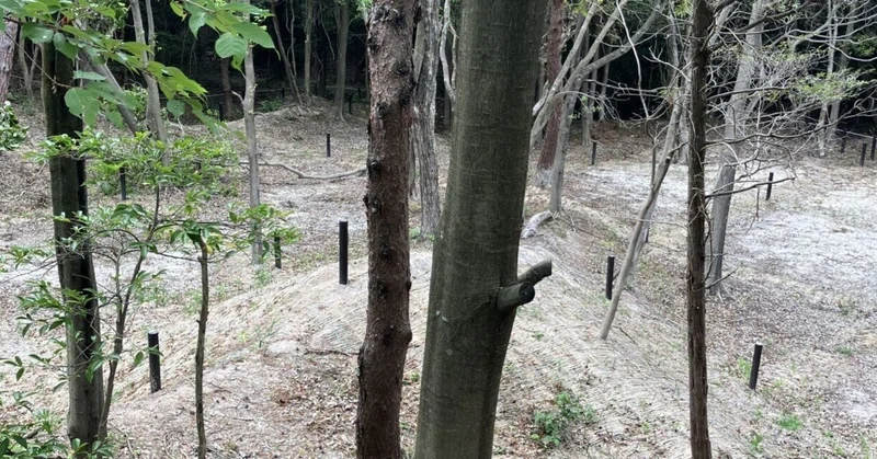 樹林葬墓地に応募多数