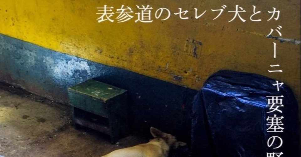 表参道のセレブ犬とカバーニャ要塞の野良犬の推薦図書 Eiju 神奈川 Note