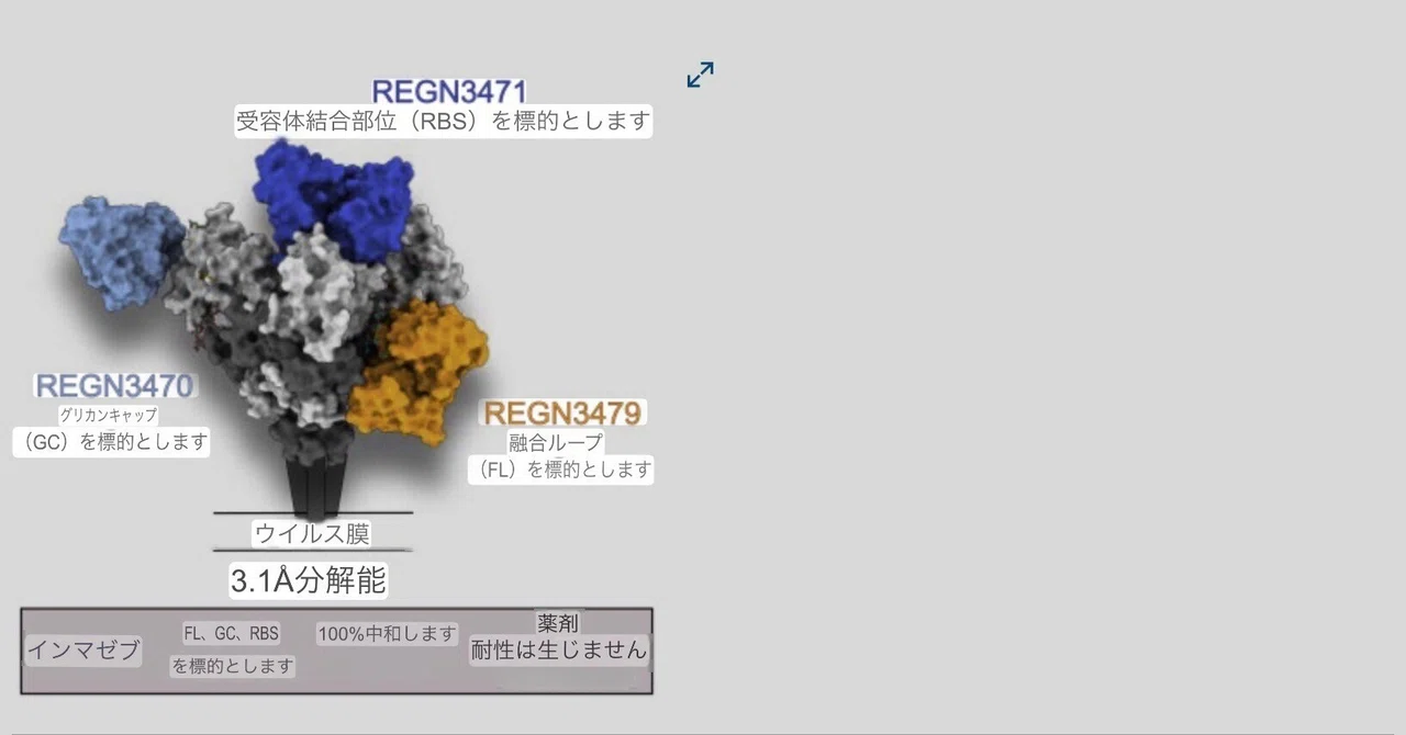 リジェネロン製インマゼブ(REGN-EB3/アトルティビマブ・マフティビマブ・オデシビマブ）の資料｜にいがたまなみ