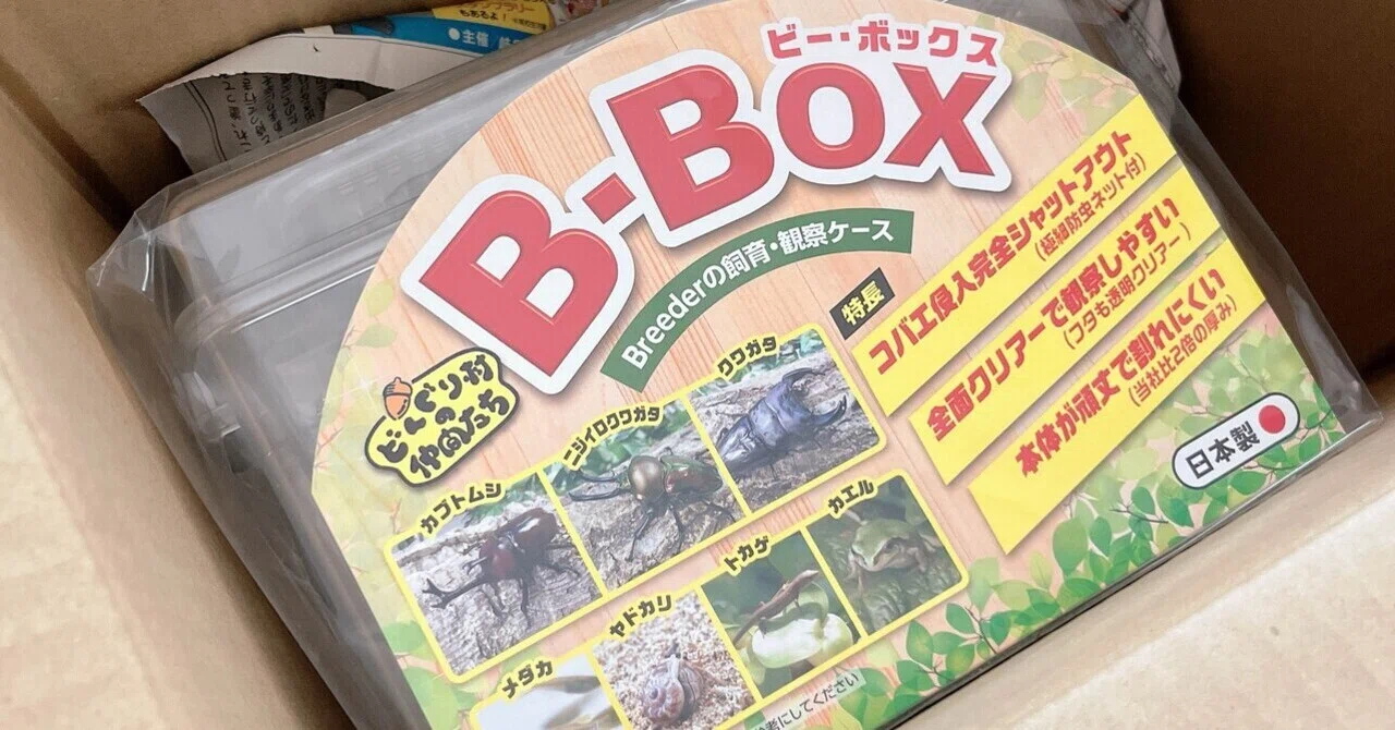 コバエ対策】昆虫飼育ケース『B-BOX』購入レビュー｜鳩田の生活