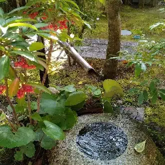 ふくうさ｜お城巡り・大人ひとり旅