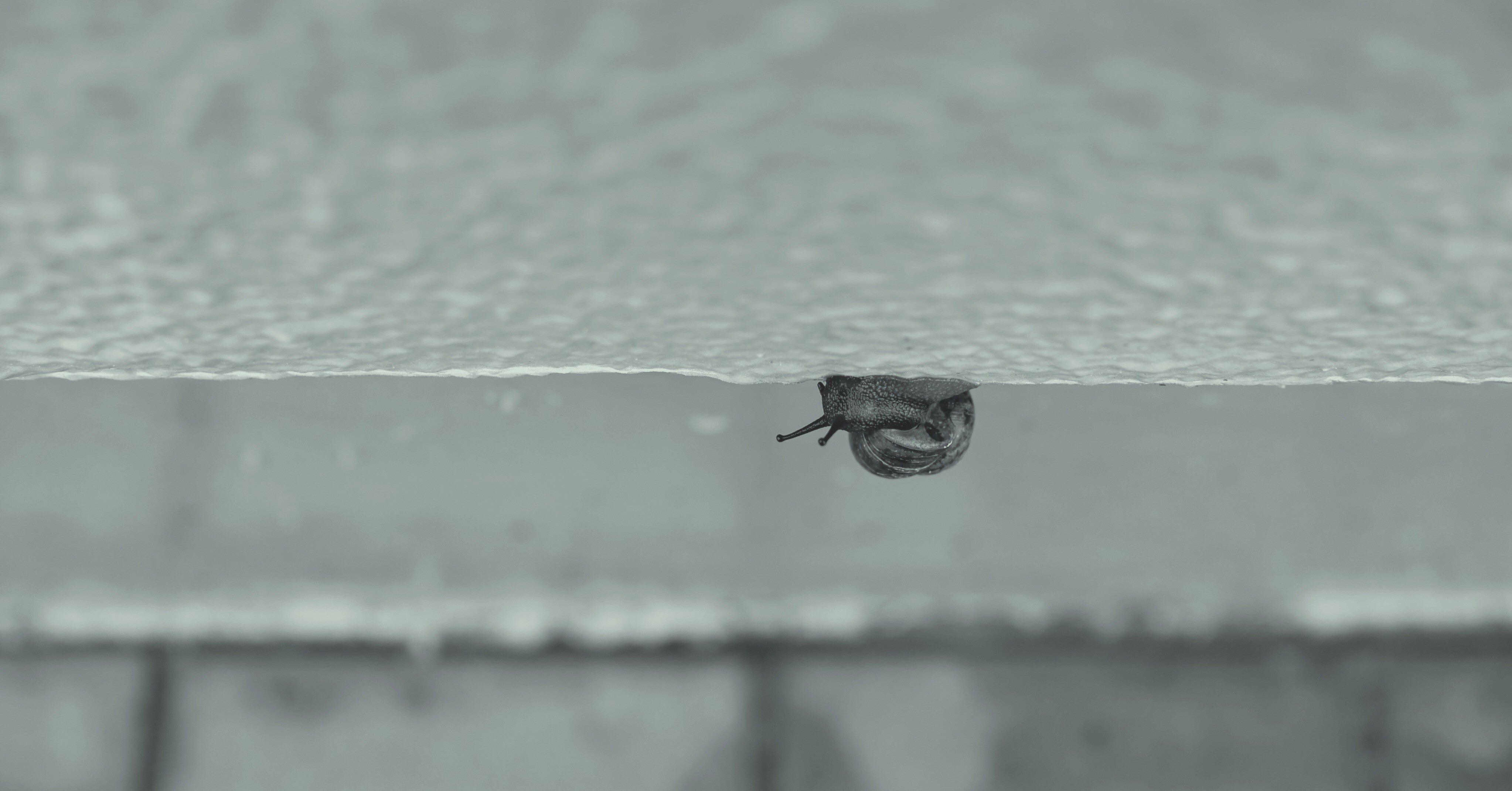 かびるんるん部屋に万年床るんるん 山路文夫 Note