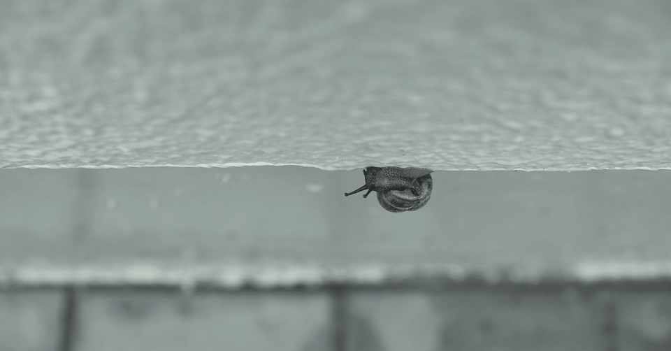 かびるんるん部屋に万年床るんるん 山路文夫 Note