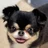 愛媛のノブ