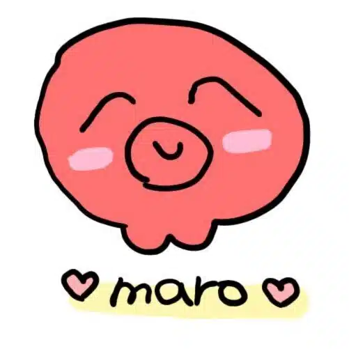 丸海マロ（まるみ まろ）| maro