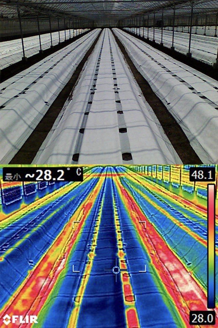 農業用タイベックの使用事例 Gen San Note