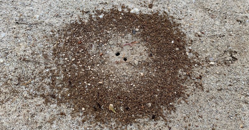 火星人面岩 の新着タグ記事一覧 Note つくる つながる とどける 火星人面岩 の新着タグ記事一覧 Note つくる つながる とどける