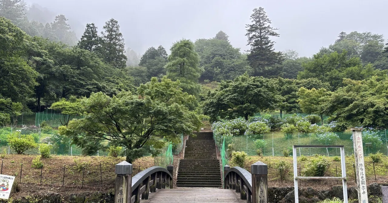 あじさい 山 公園