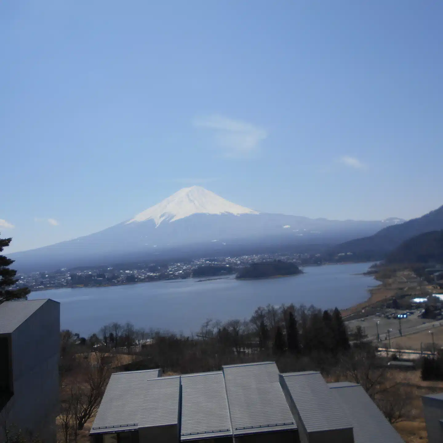 ユキ