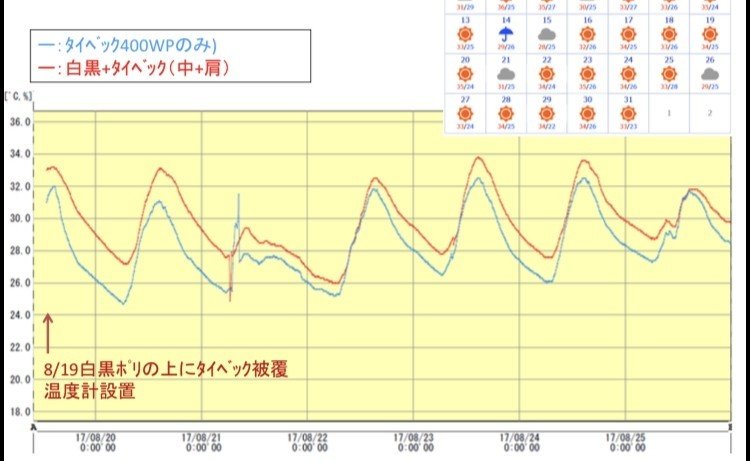 農業用タイベックの使用事例 Gen San Note