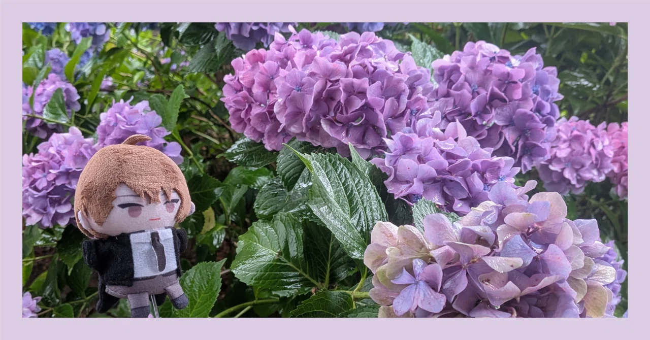 雨と紫陽花とぬい｜くろまる｜ぬい活と裁縫