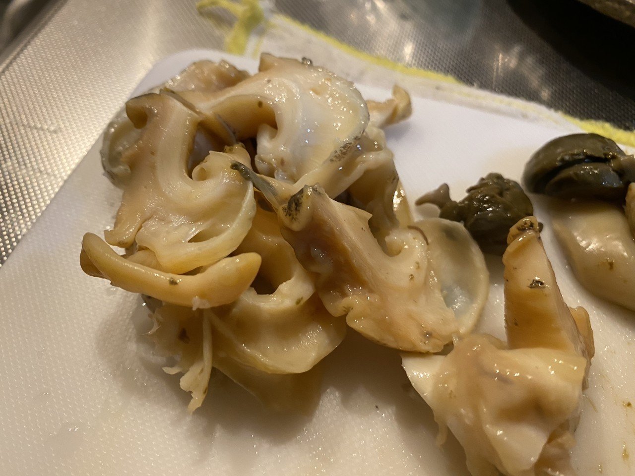 バイ貝の毒抜き調理をしてみた Noriaki Kawanishi 田舎暮らしデザイナー Note バイ貝の毒抜き調理をしてみた Noriaki Kawanishi 田舎暮らしデザイナー Note