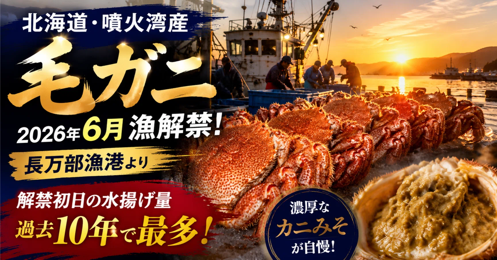 噴火湾産毛ガニ漁が解禁、水揚げは過去10年最多｜輸出商社が今すぐ動く