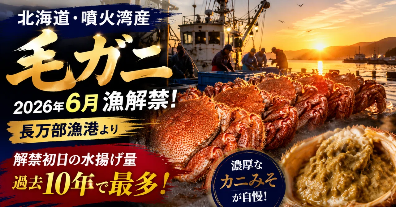 噴火湾産毛ガニ漁が解禁、水揚げは過去10年最多｜輸出商社が今すぐ動く