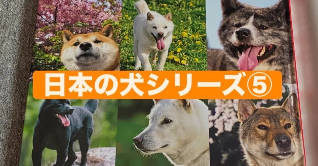 日本の犬シリーズ⑤】 「人々の心を魅了する天然記念物『日本犬』の