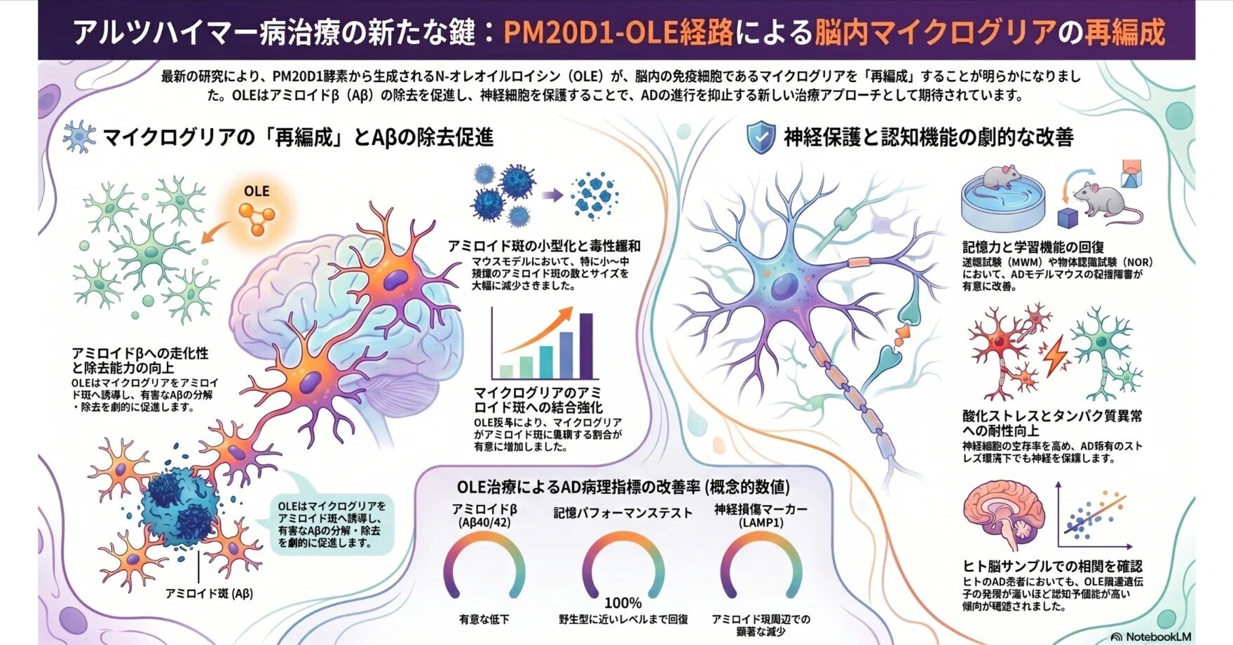 アルツハイマー病の進行を防ぐ：OLEによるミクログリアの走化性向上と