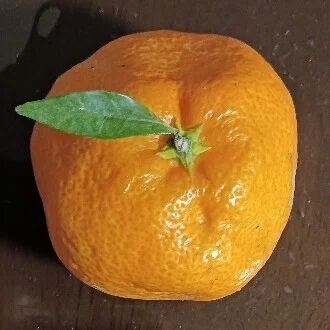 微少年