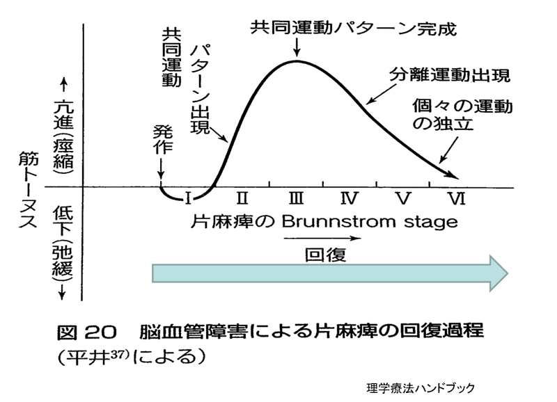 片麻痺回復曲線