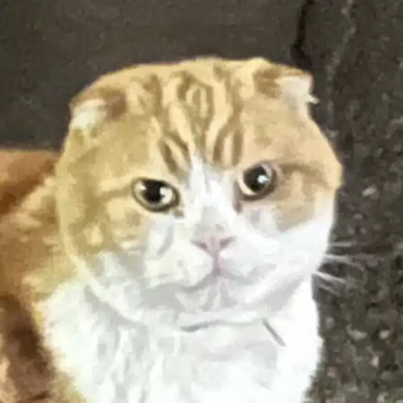 てつ