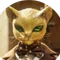 人圢äœå®¶ïŒå¥¥ç°æé
