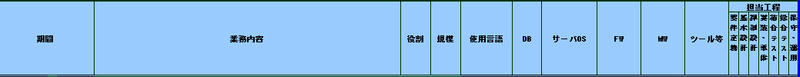 職務経歴書枠_01